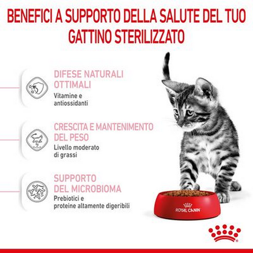 Royal Canin Sterilised Kitten gattini secco gatti 400g-Royal Canin-Emalles